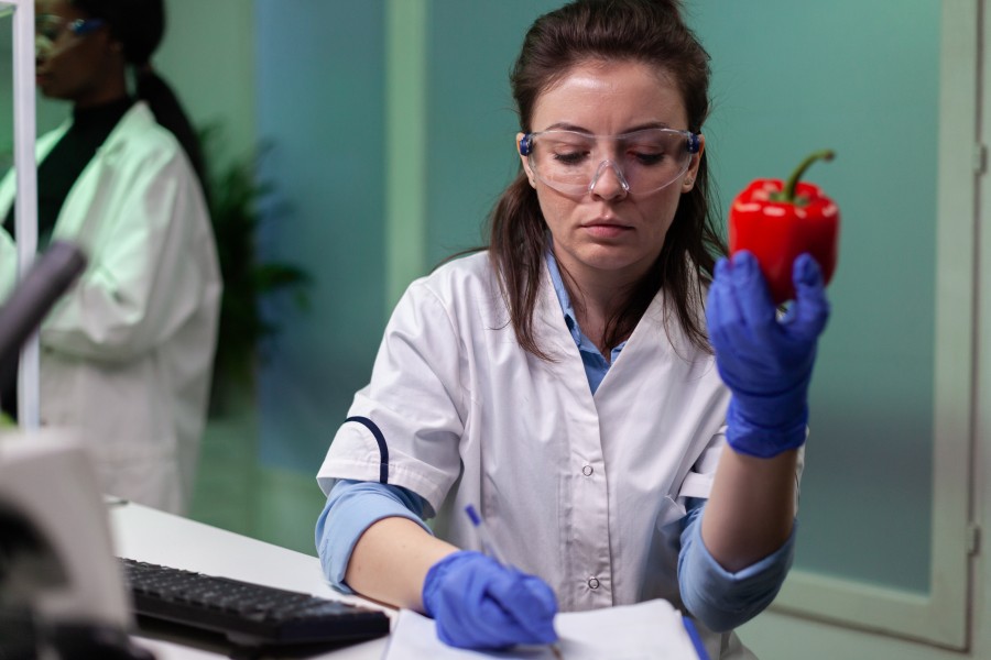 food allergy testing Waco